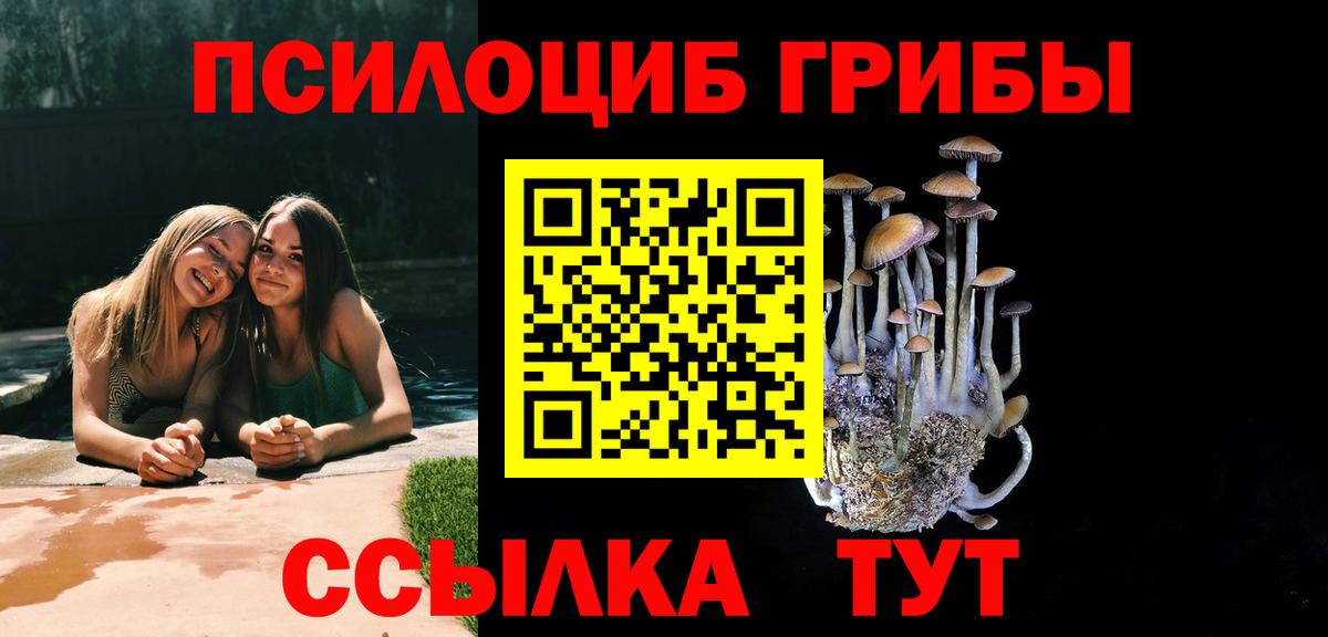 Псилоцибиновые грибы Psilocybe Мурманск