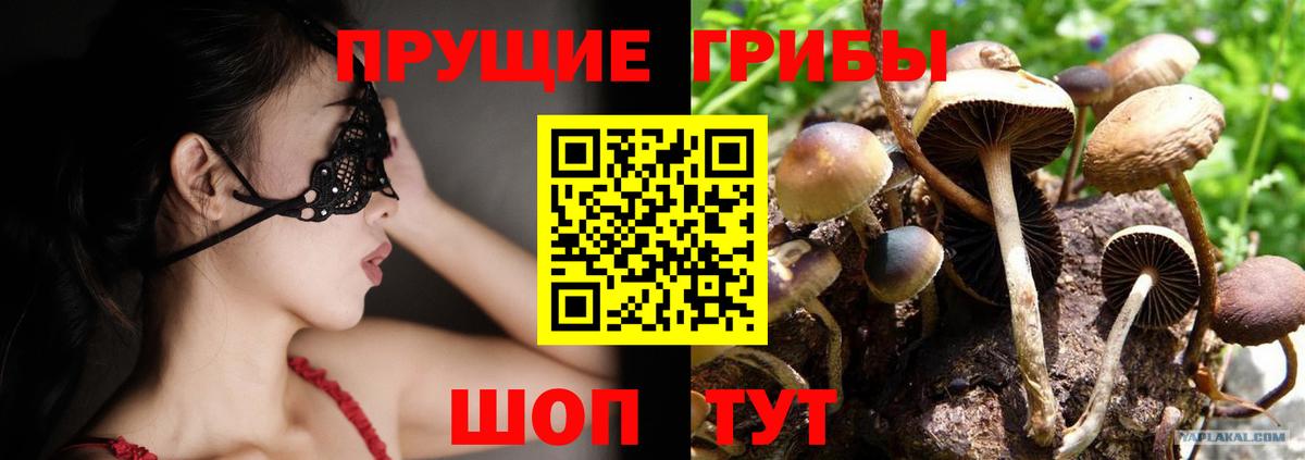 Мурманск  магазин продажи   Вход с VPN  Галлюциногенные грибы Psilocybine cubensis 